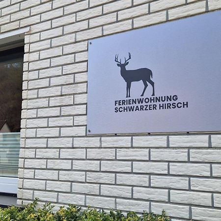 Ferienwohnung Schwarzer Hirsch Wieda Buitenkant foto