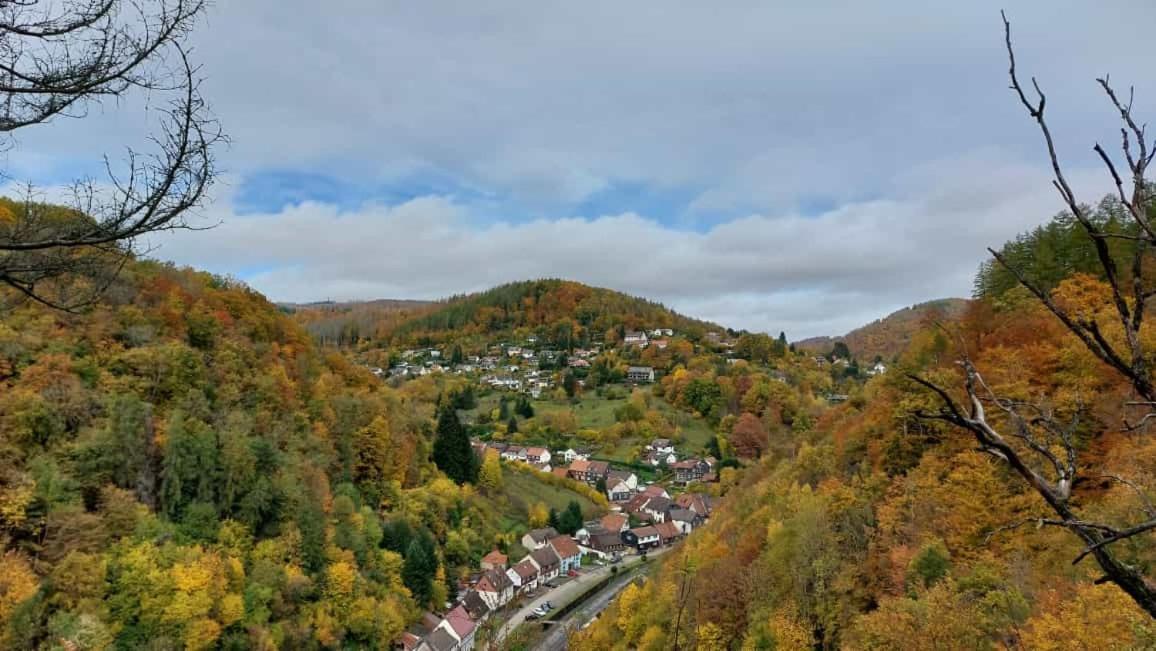 Ferienwohnung Schwarzer Hirsch Wieda Buitenkant foto